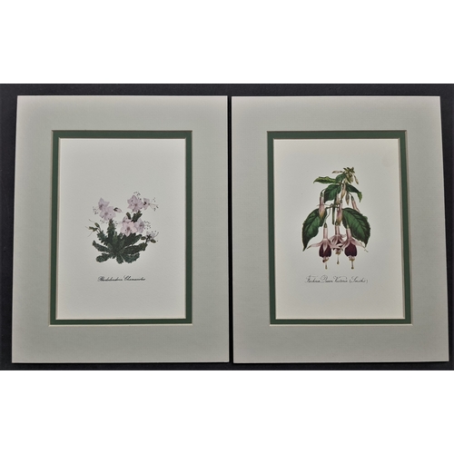 108A - 6 flower prints in double mounts. Size: 20 cm x 25 cm.