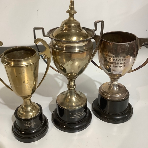 363 - 3 silver metal trophies