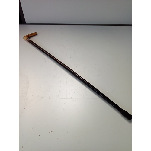 Lot 27        