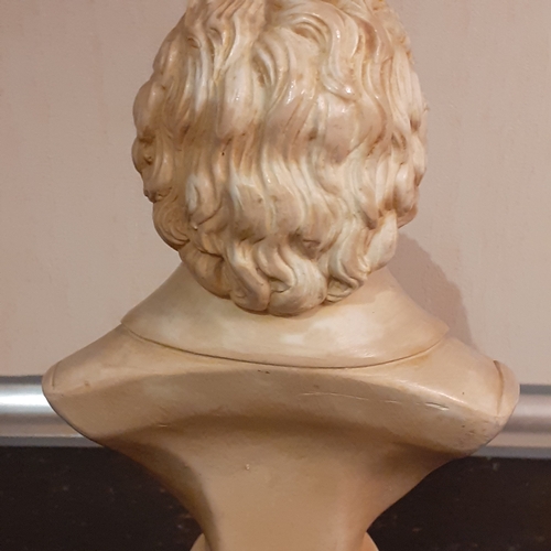 256 - Mozart bust. Approx 8 inches tall. Probably a coated plaster. Nice detail. Might benefit a clean