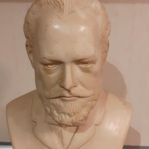 267 - Tchaikowsky bust. Approx 8 inches tall. Probably a coated plaster. Nice detail. Might benefit a clea... 