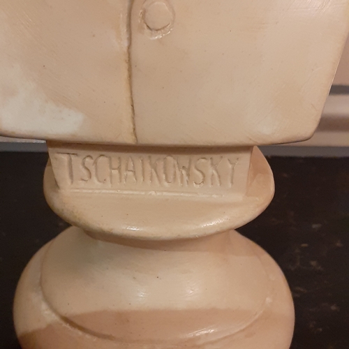 267 - Tchaikowsky bust. Approx 8 inches tall. Probably a coated plaster. Nice detail. Might benefit a clea... 