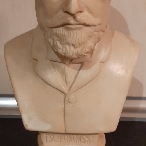 267 - Tchaikowsky bust. Approx 8 inches tall. Probably a coated plaster. Nice detail. Might benefit a clea... 