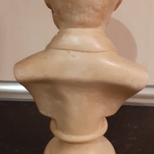 267 - Tchaikowsky bust. Approx 8 inches tall. Probably a coated plaster. Nice detail. Might benefit a clea... 