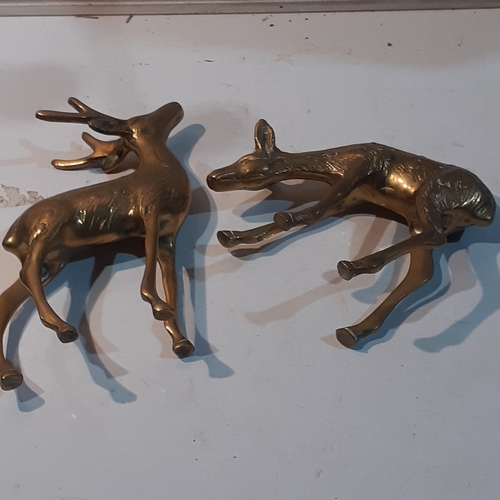 261 - Pair of vintage grazing brass deer. Very nice detail and condition.