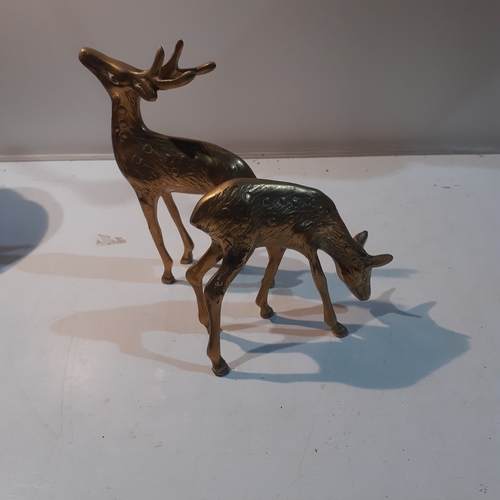 261 - Pair of vintage grazing brass deer. Very nice detail and condition.