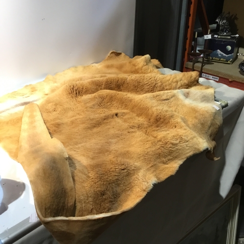 190 - Small animal skin hide rug in clean condition