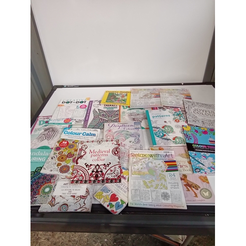 322 - Quantity of adult colouring books. All looks unused. Great variety and detail