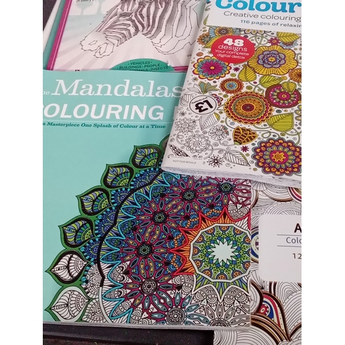 322 - Quantity of adult colouring books. All looks unused. Great variety and detail