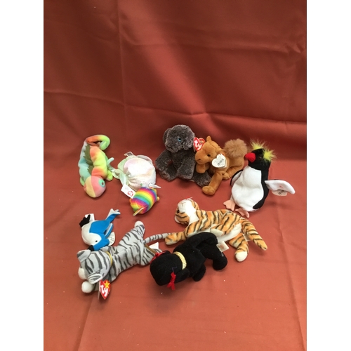 43 - Quantity of TY beanie plush - most with tags