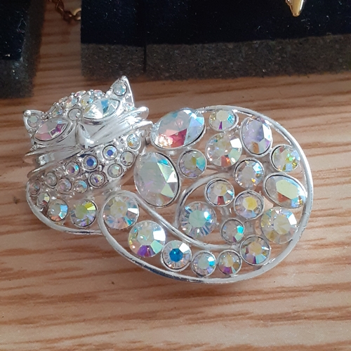 14 - Various ladies costume brooches, pendants etc. Stunning cat brooch which captures light and various ... 