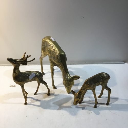 55 - Collection of solid grazing brass deers