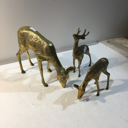 55 - Collection of solid grazing brass deers