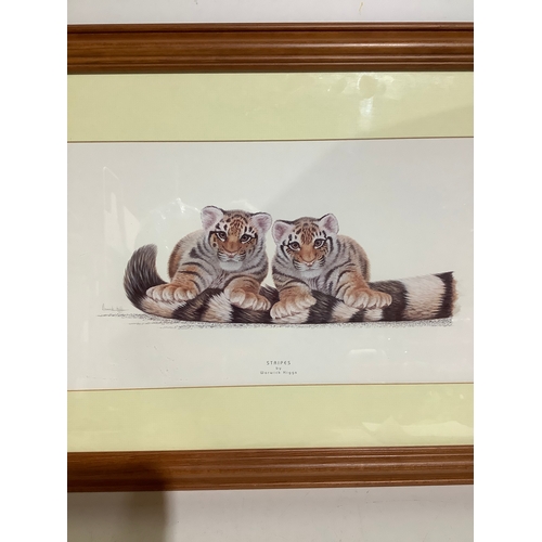 564 - Framed picture stripes by Warwick Higgs