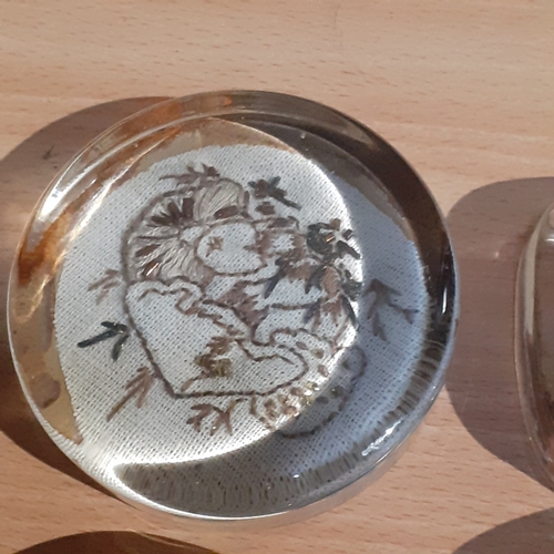 142A - 4 flat glass paperweights. Winnie the Pooh, Church, Wild bird and an embroidered one. No damage.