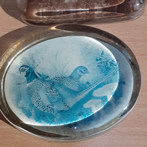 142A - 4 flat glass paperweights. Winnie the Pooh, Church, Wild bird and an embroidered one. No damage.