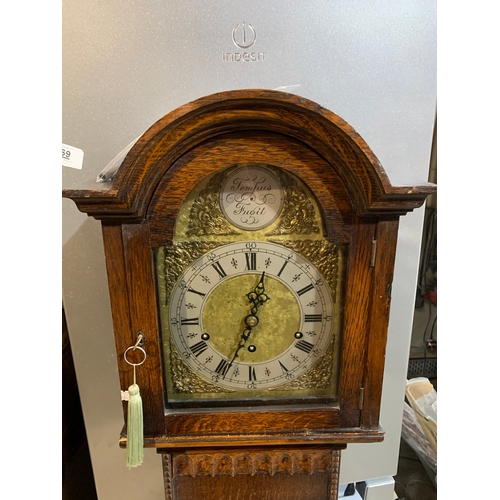 259 - Grandmother clock - tempus fugit - chiming clock in working order