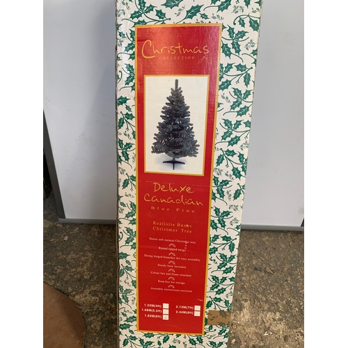 187 - Deluxe Canadian 6ft blue pine Christmas tree