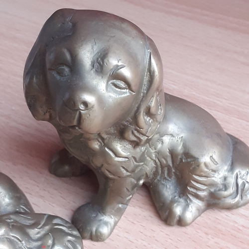 9 - 2 brass spaniel dogs. One solid and one hollow style. Great detail