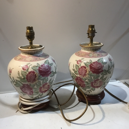 29 - Pair of decorative lamps