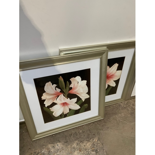 287 - Floral and scenic silver framed prints