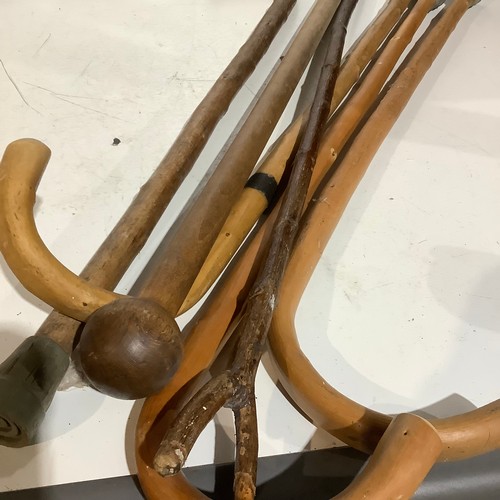 433 - Bundle of Wooden Walking Sticks