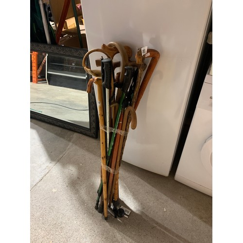 381 - Large Lot of Walking/HikingSticks