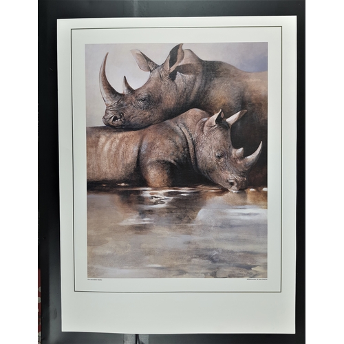 103A - 2 colour prints of lions and rhinoceroses by Joan Beuche. ‘The Swift & Silent Ones’ and ‘The Incredi... 