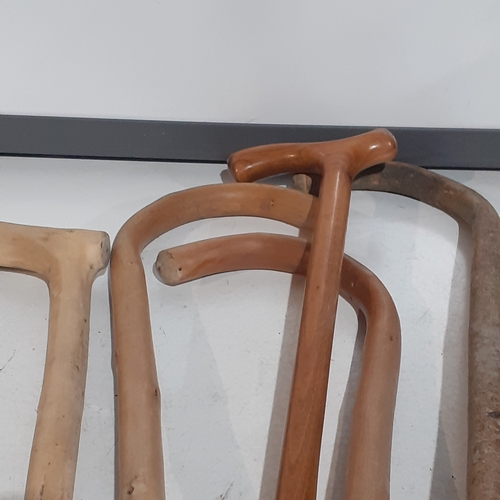 12 - Collection of walking sticks. Mostly natural wood and all good stoppers. Good quality.