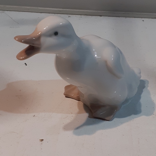 147 - Nao duck ornament. Nice, clean condition. No damage