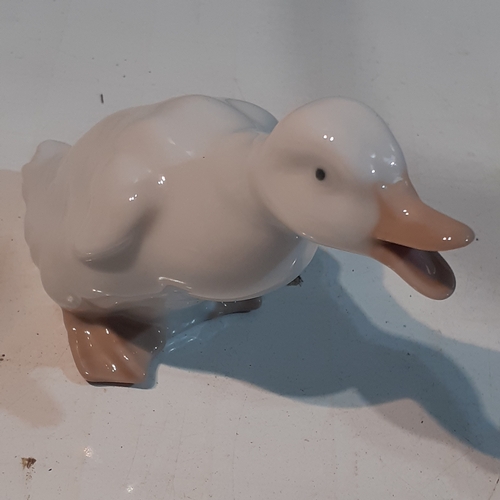 147 - Nao duck ornament. Nice, clean condition. No damage