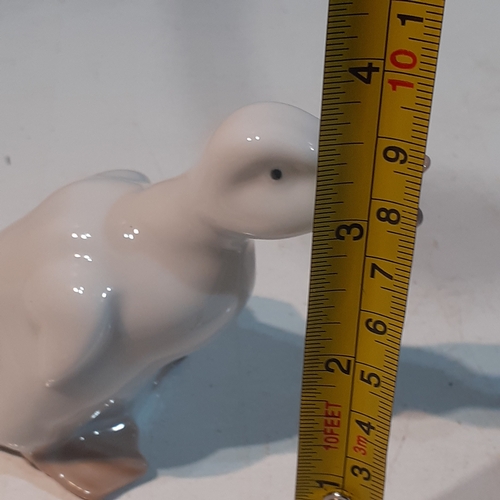 147 - Nao duck ornament. Nice, clean condition. No damage