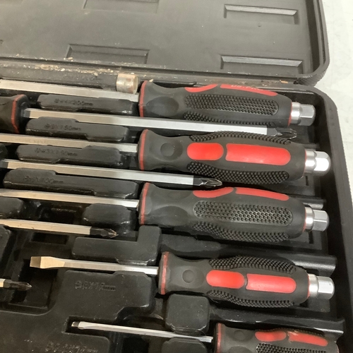 669 - Us pro screwdriver set