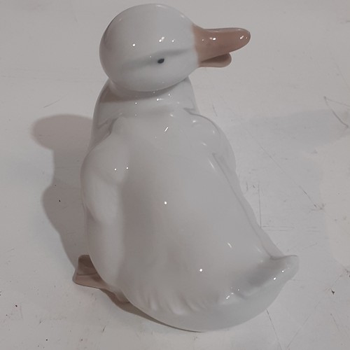 156 - Small Nao duck. Nice condition. No damage