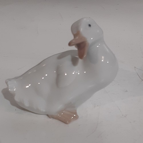 156 - Small Nao duck. Nice condition. No damage