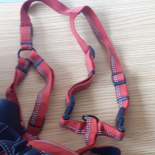 15 - 3 x large dog harnesses. Very good quality/brands including Julius K9. Used but still good clean con... 