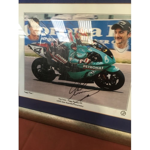 155 - Sports memorabilia - framed and glazed and signed picture Troy Forcer - Foggy petronas FP1 2003 worl... 