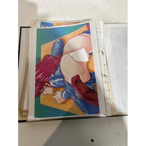 100A - Folder of approx 100 anime manga style pornography prints