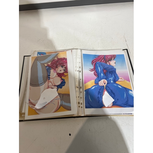 100A - Folder of approx 100 anime manga style pornography prints