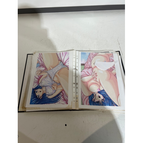 100A - Folder of approx 100 anime manga style pornography prints