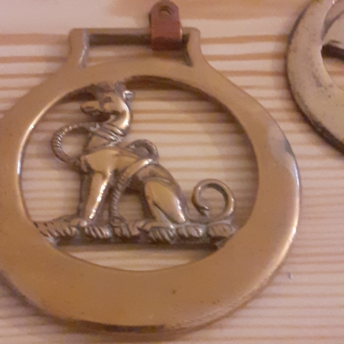 155A - Quantity of 11 x single horse brasses. Includes eye-catching designs. Great addition to any collecti... 