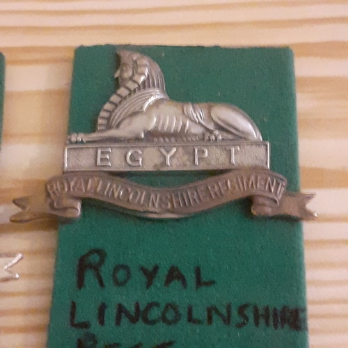 56A - Military Cap badges. The Lincolnshire Regt. One Brass/Metal and one Staybrite. Staybrite has no back... 