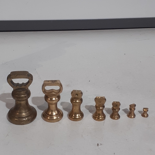 103A - Set of 7 imperial brass weights. Range from 2lb to 1/2 oz.