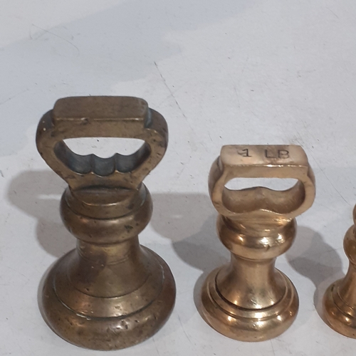 103A - Set of 7 imperial brass weights. Range from 2lb to 1/2 oz.