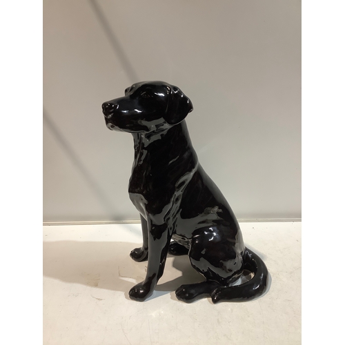 2 - Royal Doulton Large Ceramic black Labrador dog ornament