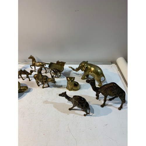 145 - Quantity of brass animals - inc elephant & camels