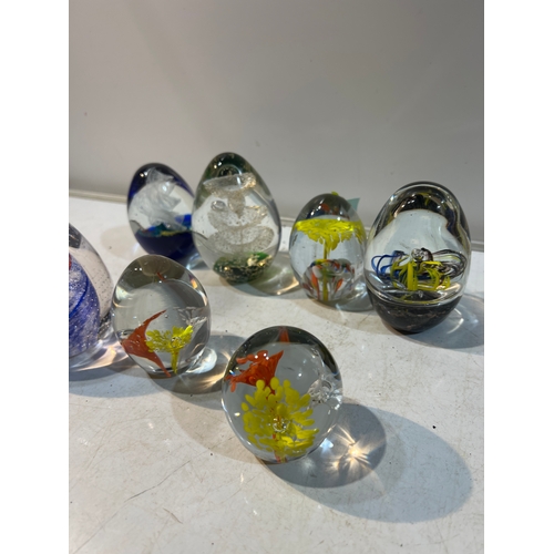 204 - Quantity of oval shaped glass paperweights