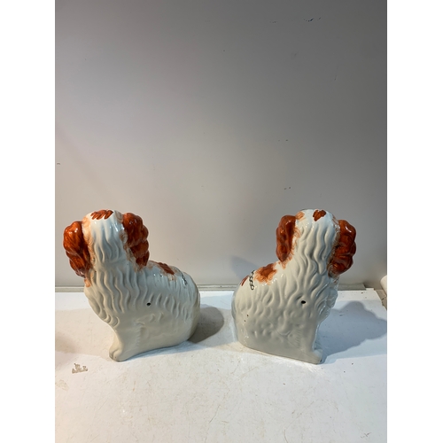 251 - Pair of Staffordshire ceramic dog ornaments