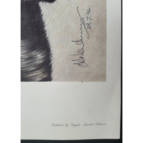 108A - Signed and dated by the artist (29.7.96). Colour print Black Labrador by David Newton. Size: 34 cm x... 