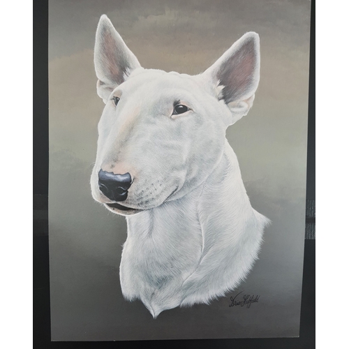 114A - 4 colour dog prints by Brian Hupfield. Boxer, Rottweiler, English Bull Terrier, and Staffordshire Bu... 